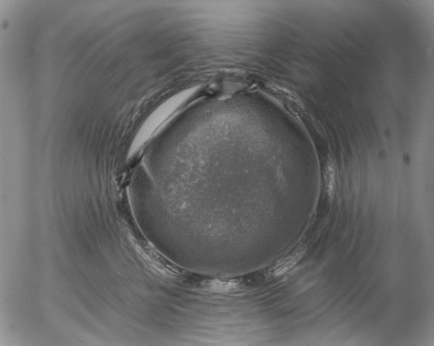 X0000053050570200508011851