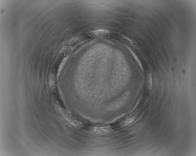 X0000053050571200508011851