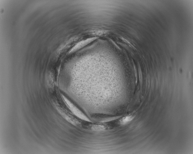 X0000053050572200508011851