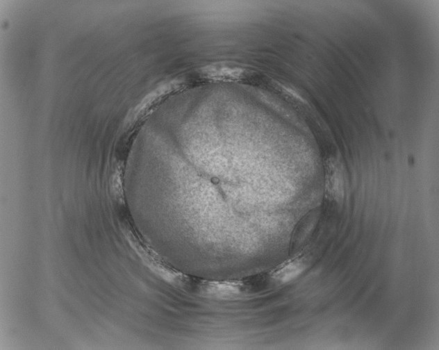 X0000053050573200508011851