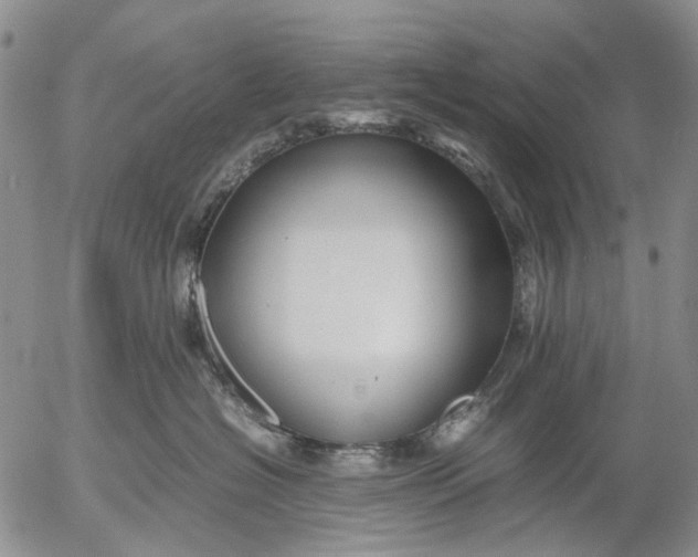 X0000053050574200508011851