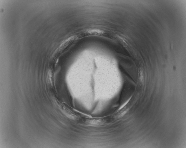 X0000053050575200508011851