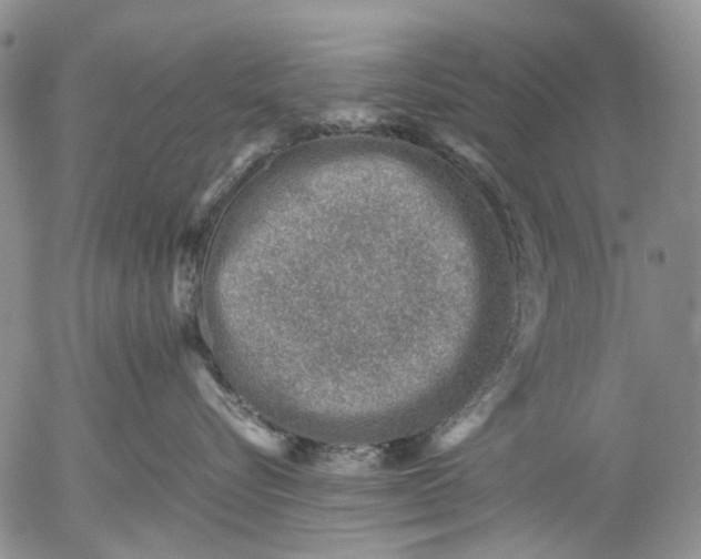 X0000053050576200508011851