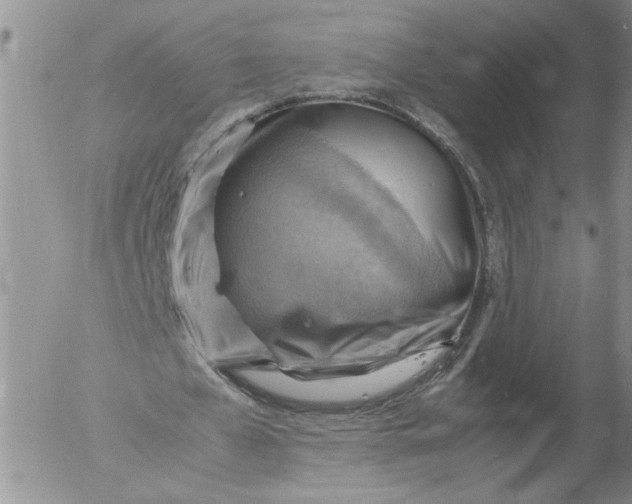 X0000053050577200508011850