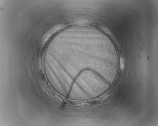 X0000053050579200508011850