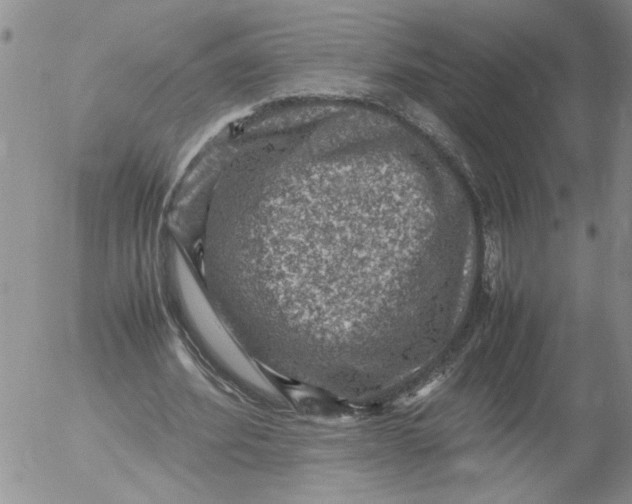 X0000053050580200508011850