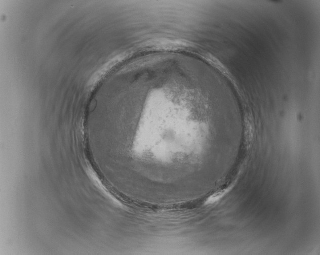 X0000053050581200508011850