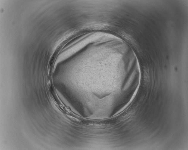 X0000053050582200508011850