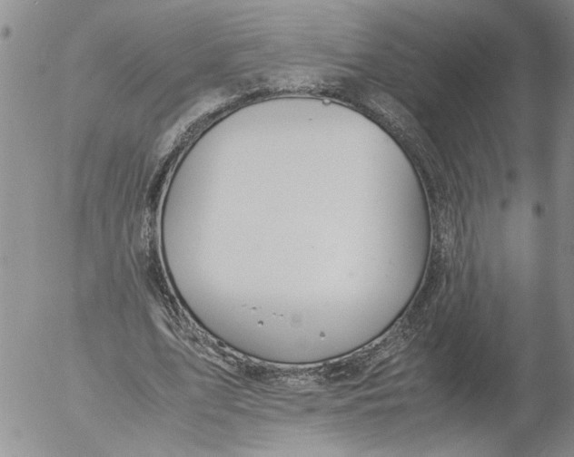 X0000053050583200508011850