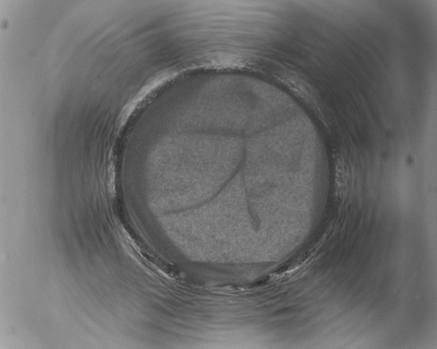 X0000053050584200508011850