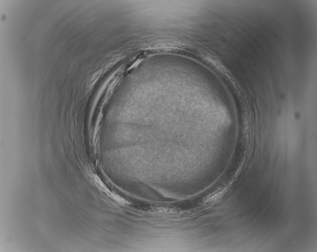 X0000053050585200508011850