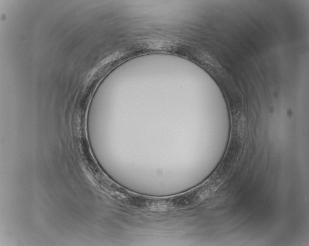 X0000053050587200508011850