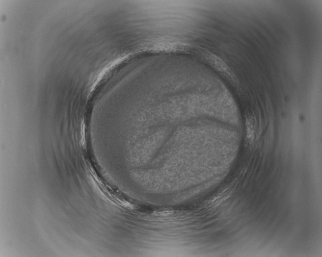 X0000053050588200508011850