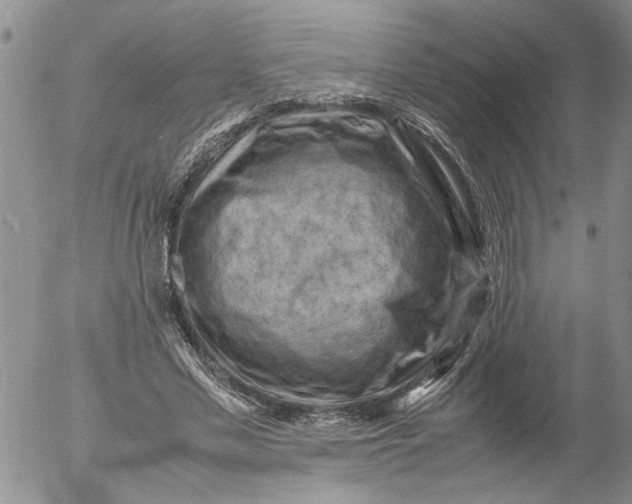 X0000053050589200508011850