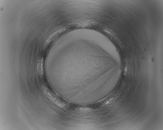 X0000053050590200508011850