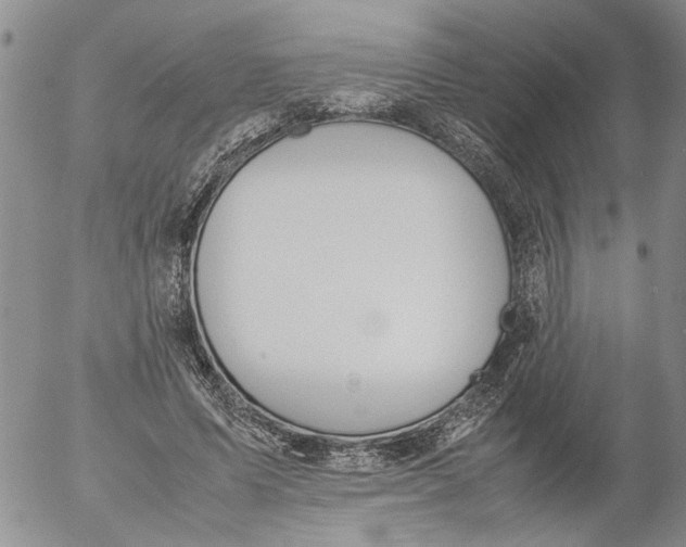 X0000053050591200508011850