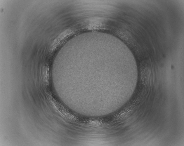 X0000053050592200508011850