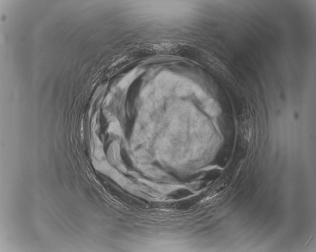 X0000053050593200508011850