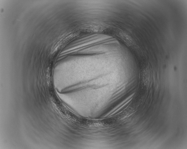 X0000053050594200508011850