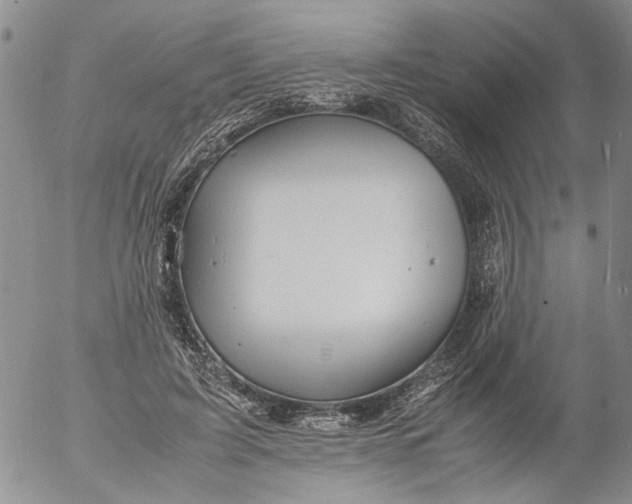 X0000053050595200508011850