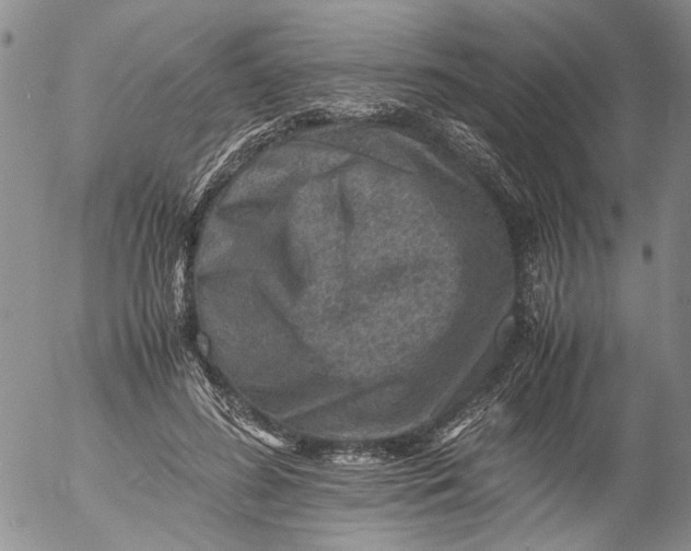 X0000053050596200508011850