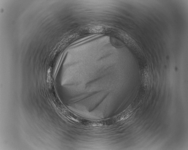 X0000053050598200508011850