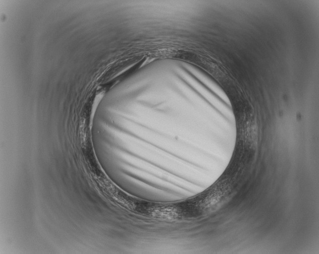 X0000053050599200508011850