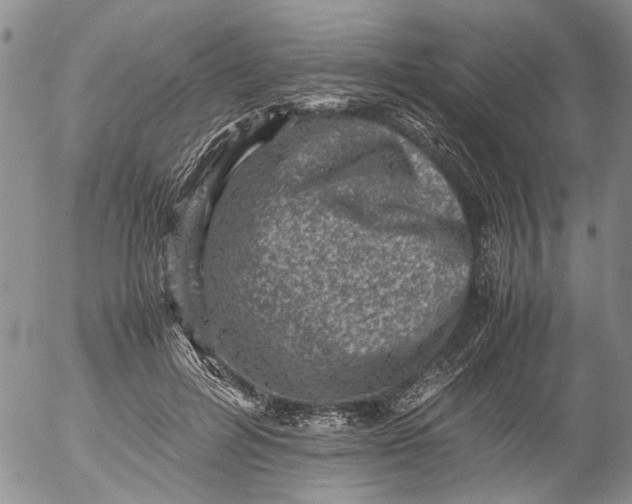 X0000053050600200508011850