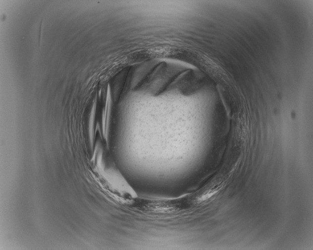 X0000053050601200508011850