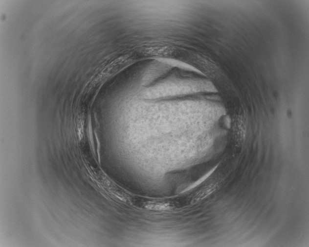 X0000053050602200508011850