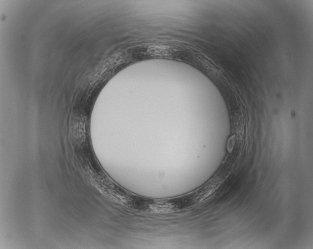 X0000053050603200508011850