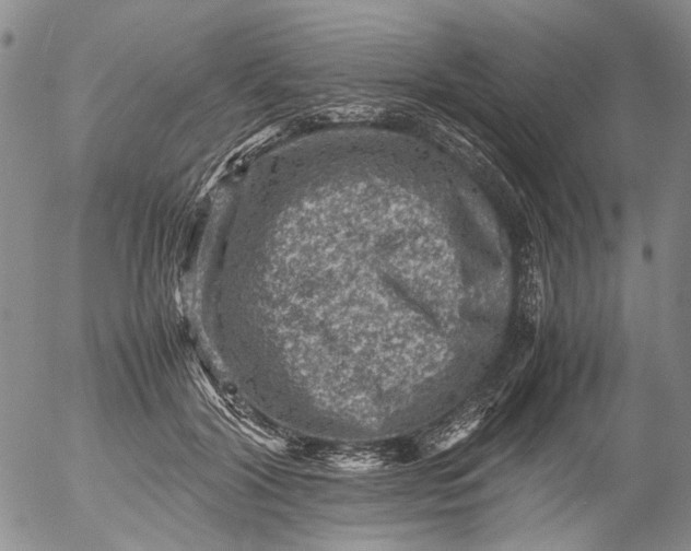 X0000053050604200508011850