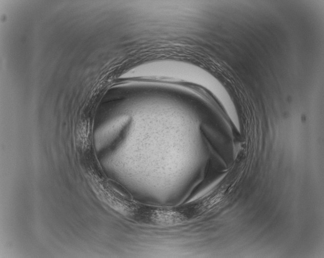 X0000053050605200508011850