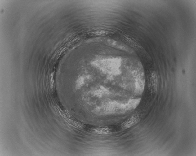 X0000053050606200508011850