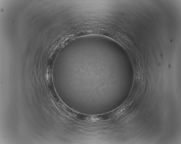 X0000053050607200508011850