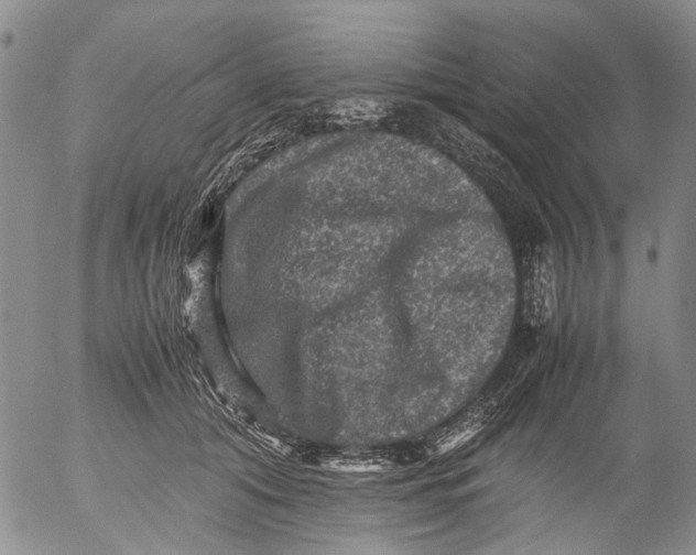 X0000053050608200508011850