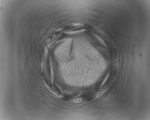 X0000053050609200508011850