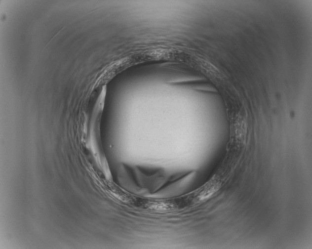 X0000053050611200508011849