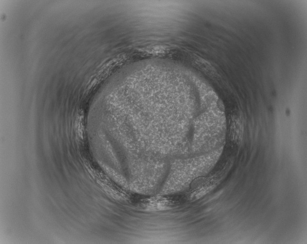 X0000053050612200508011849