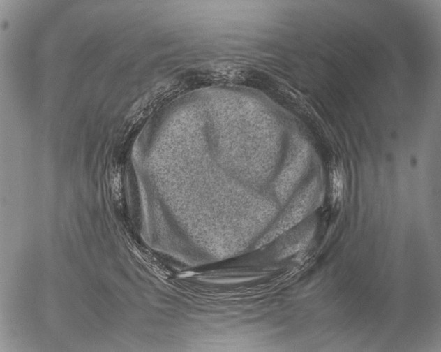 X0000053050613200508011849