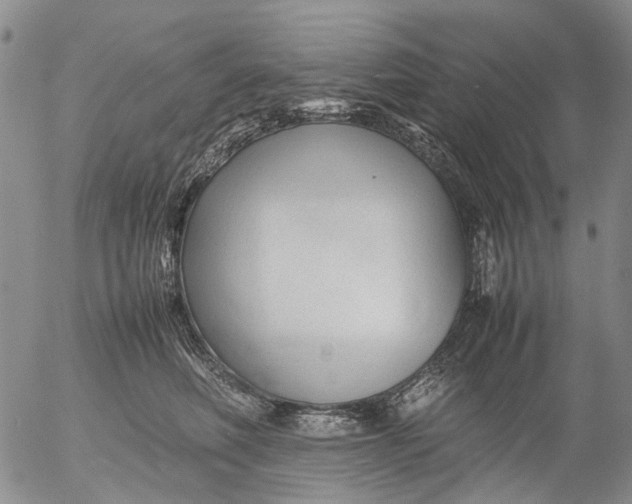 X0000053050614200508011849