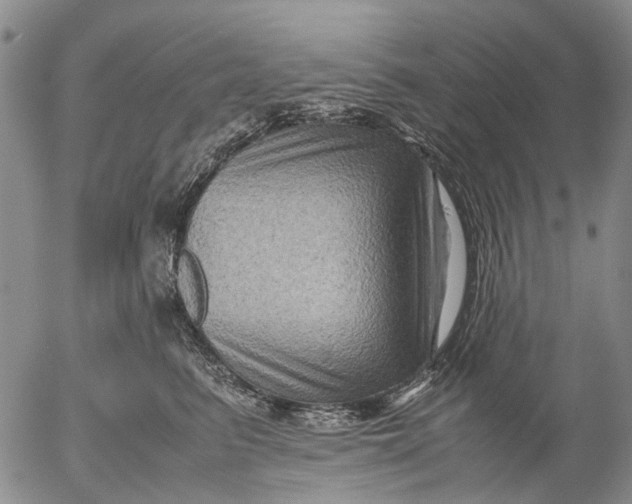 X0000053050615200508011849