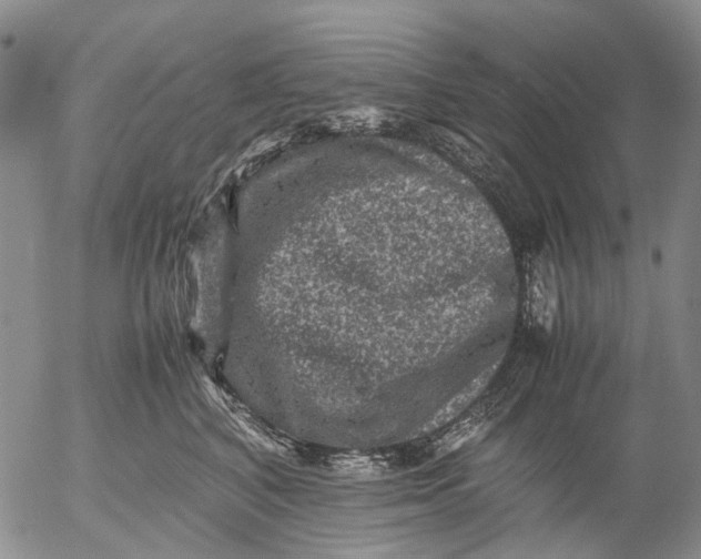 X0000053050616200508011849