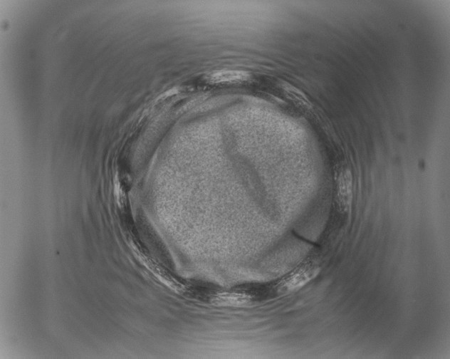 X0000053050617200508011849