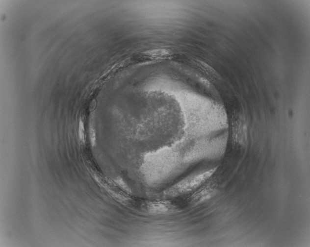 X0000053050618200508011849