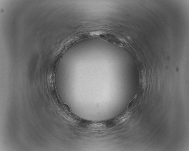 X0000053050619200508011849