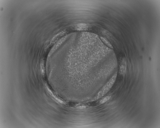 X0000053050620200508011849