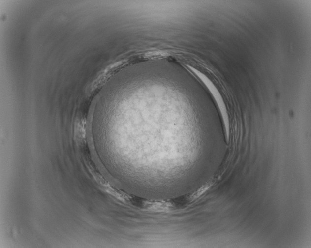 X0000053050621200508011849