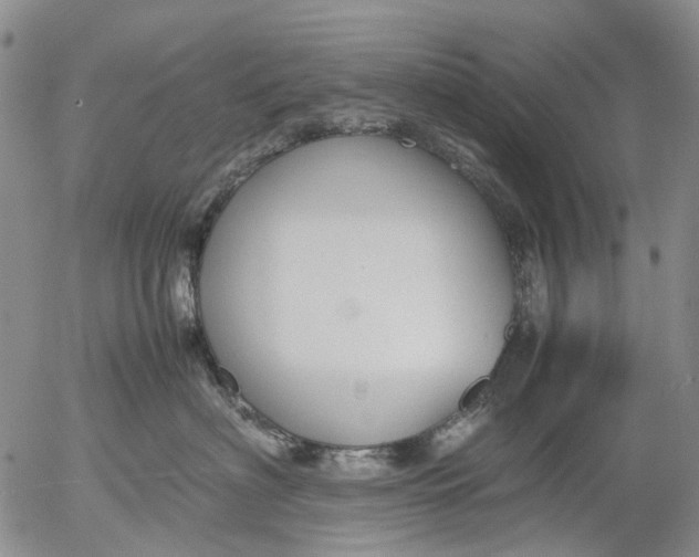 X0000053050622200508011849