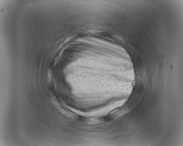 X0000053050623200508011849